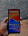Walton nexs g